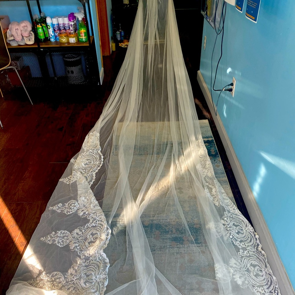 Cathedral Veil for bride.